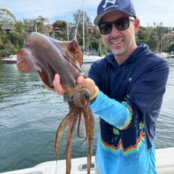 Massive squid