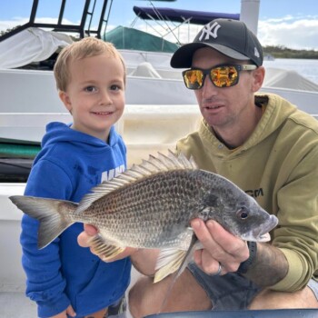 Year round fish in Noosa River