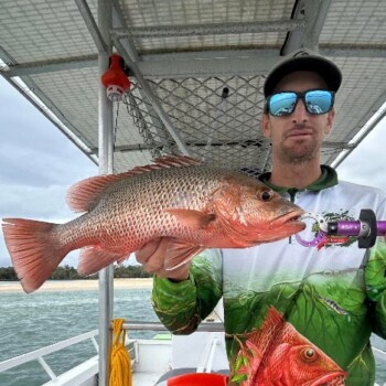 Noosa River Mangrove Jack