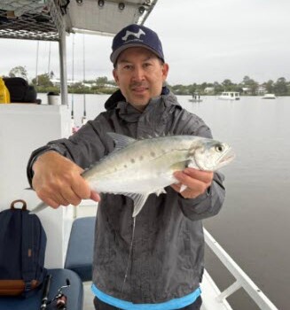 Noosa River queenfish