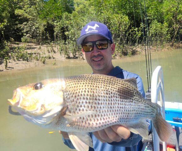 Darwin Harbour Golden Snapper
