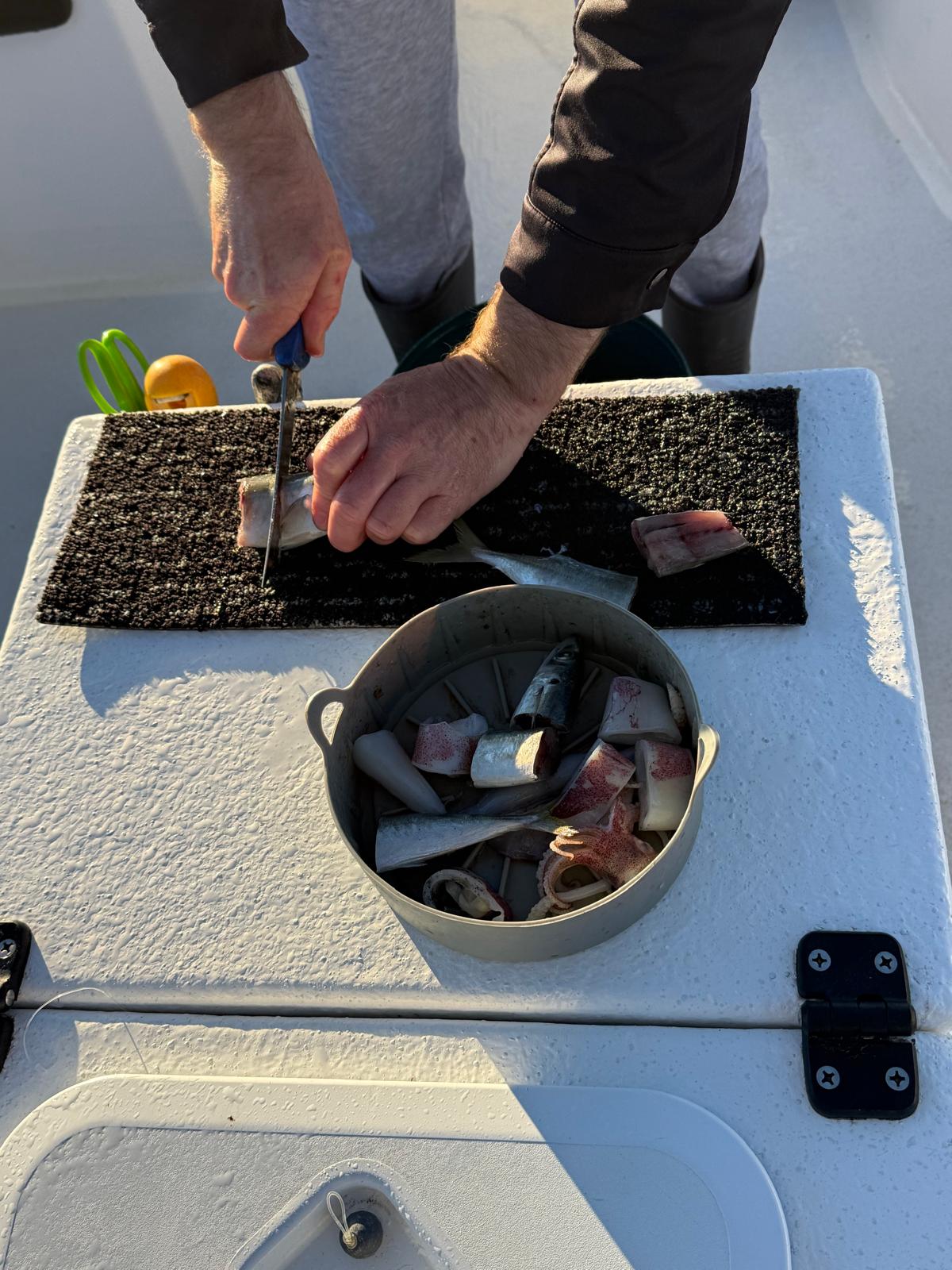 Preparing a bit of bait for some bottom fishing in Noosa