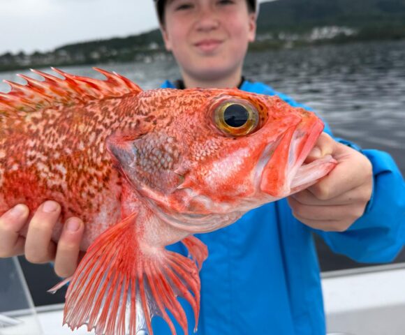 The young fella with the catch of the day - A large Bergen rosefish